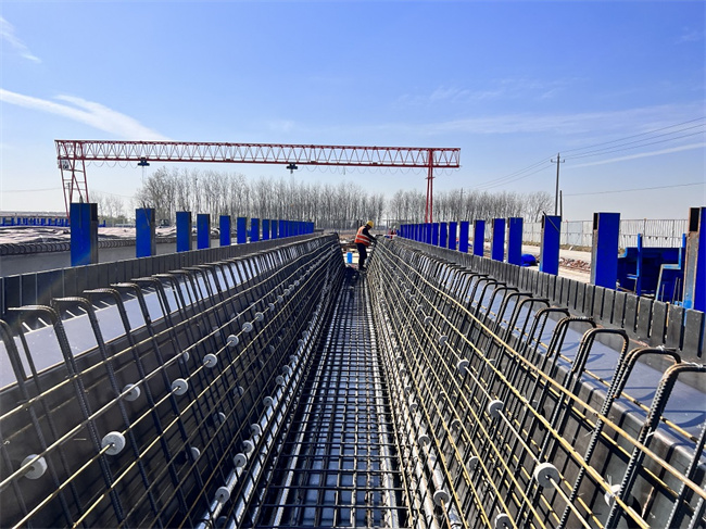 淮桐项目 (1).jpg