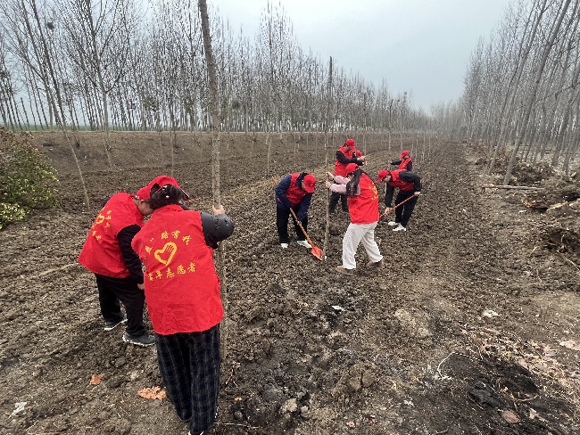 3 五蒙高速TJ-05标开展志愿植树活动.jpg